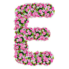E, flower alphabet isolated on white with clipping path