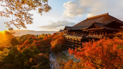 Fototapeten Kiyomizu-dera-Tempel in Kyoto © coward_lion