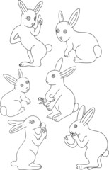 Rabbit