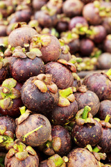 Fresh mangosteen in the Market