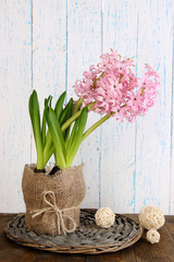 Pink hyacinth in pot on table on wooden background