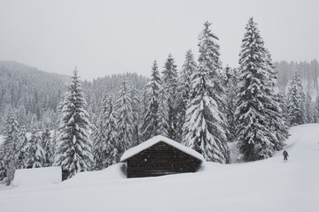 Chalet in Val di Fassa