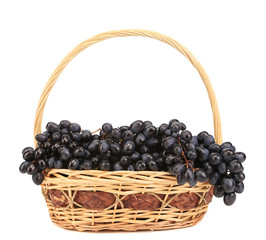 Fototapeta na wymiar Black ripe grapes in basket.