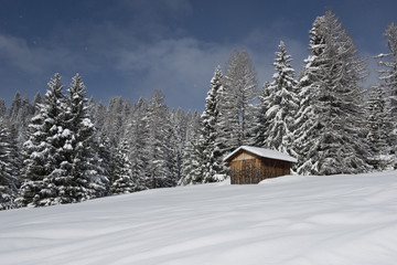 Chalet in Val di Fassa