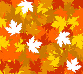 Naklejka na ściany i meble Autumnal concept background