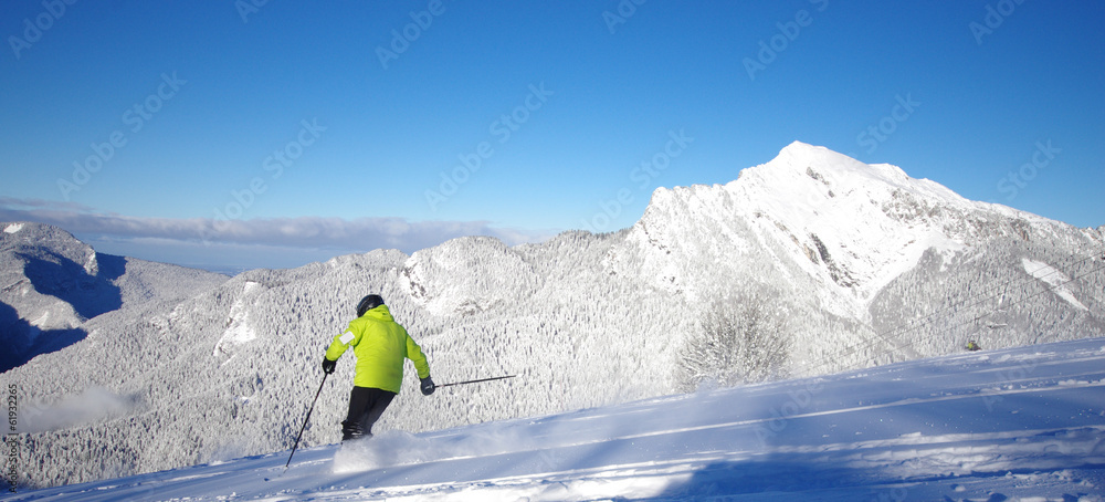 Wall mural ski de poudreuse - saint pierre de chartreuse