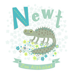 Letter N - Newt