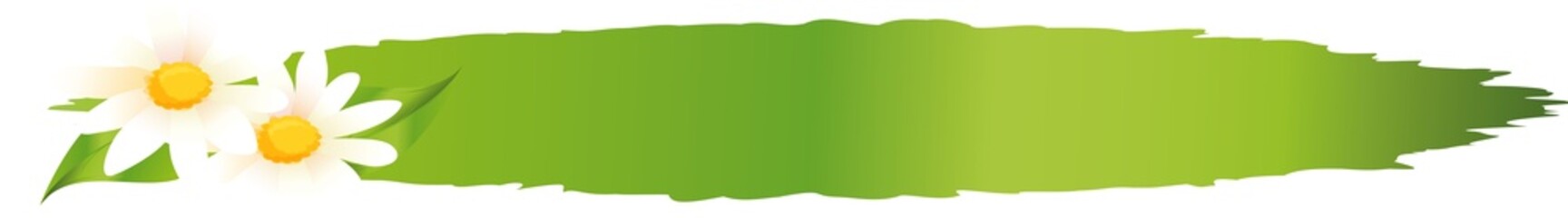 frühling © W. Zikas