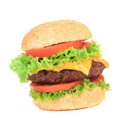 Big appetizing hamburger.