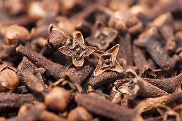 cloves