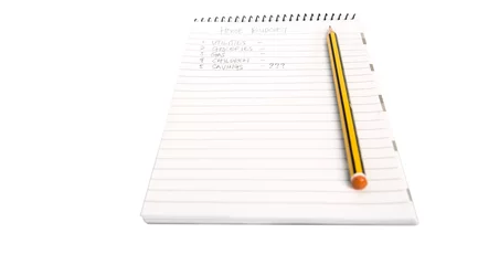 Wandcirkels Arctica Home Budget List On Notepad  © akulamatiau