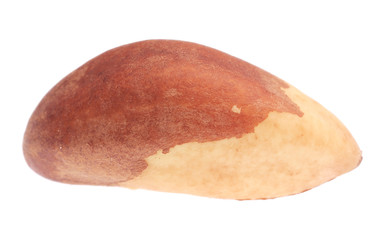 Close up of brazil nut.