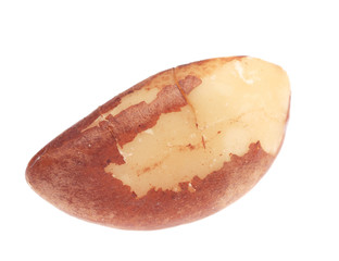 Studio shot of brazil nut.