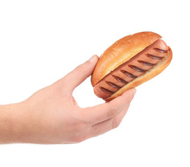 Hand holds grilled hotdog.