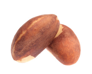 Close up of two brazil nuts.