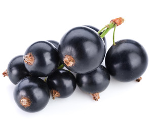 currant