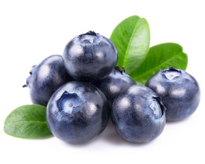 blueberries isolated