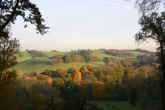 Autumn Colours In The Surrey Hills. England