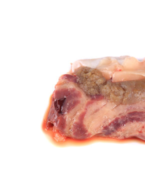 Close up of inside fish bowels.
