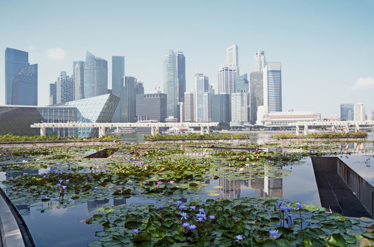 Singapore the "City in a Garden". `