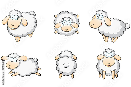 &ldquo;Schafe Set Schafsherde&rdquo; Stockfotos und lizenzfreie Vektoren auf