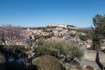 Fototapeta na wymiar Krajobraz Provence