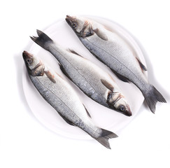 Three fresh seabass fish on plate.