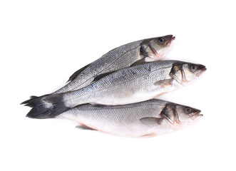 Close up of three fresh seabass fish.