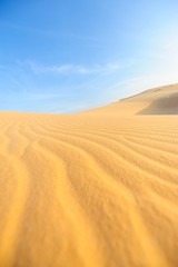 Fototapeta na wymiar Sand Pattern on Sand Dune