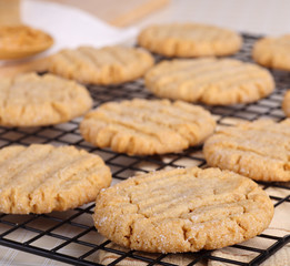 Peanut Butter Cookies