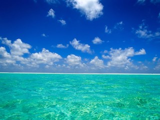 Fototapeta premium caribbean island