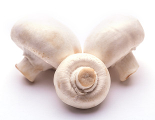 white mushrooms isolated on the white