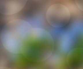 Nature Blurred Background