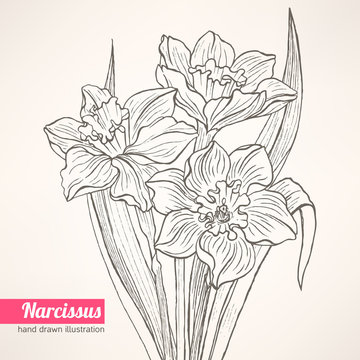 bouquet with narcissus