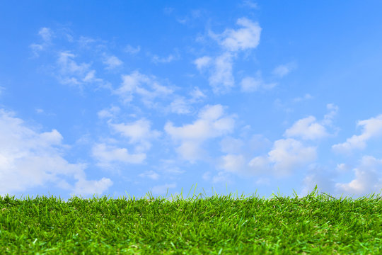 Artificial grass under blue sky