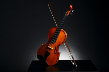 aged handmade violin