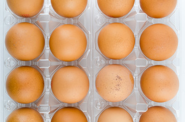 Eggs packed isolated white background