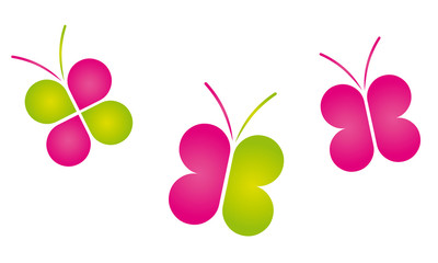 Fototapeta premium papillon