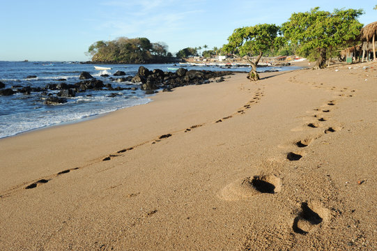 Footprint on the beach of Los Cobanos