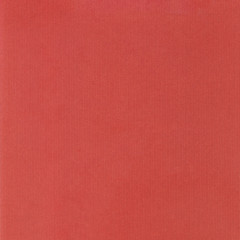 Fototapeta premium red paper texture