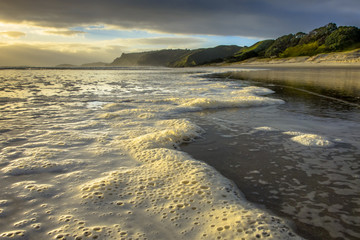 Foam on the Surf of Pakiri Coast, New Zealand