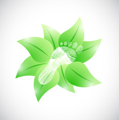 feet and natural leaves illustration design