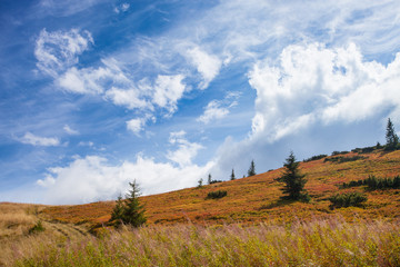 Gorgeous mountain view with sky and trees. Trail in Carpathian.