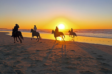 Horse riding on the beach at sunset
