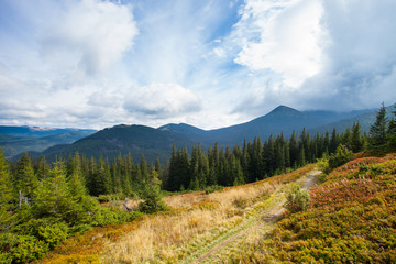 Obraz premium Gorgeous mountain view with sky and trees. Trail in Carpathian.