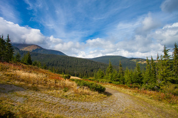 Fototapeta na wymiar Gorgeous mountain view with sky and trees. Trail in Carpathian.