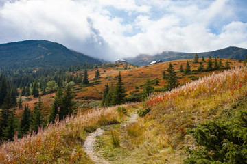 Gorgeous mountain view with sky and trees. Trail in Carpathian.