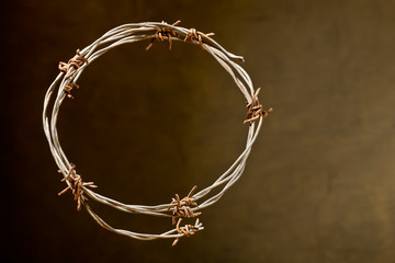 crown of thorns