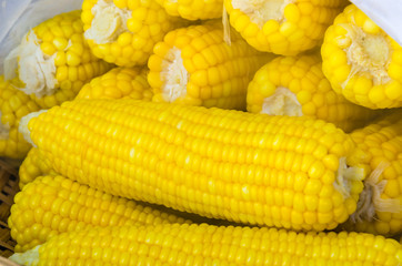 steam corn