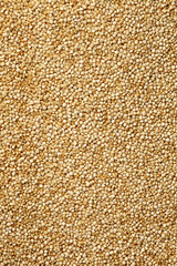 Uncooked quinoa background